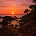 Lalou Piscine Trois A Fréjus