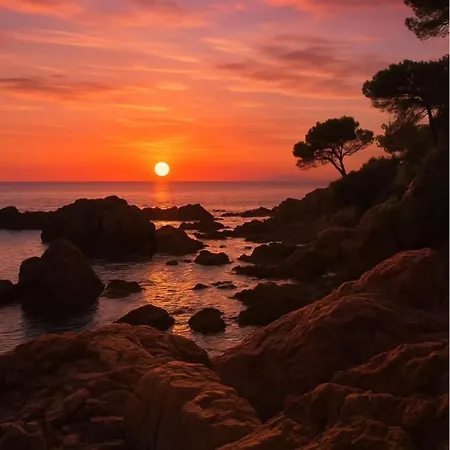 Jolie Lalou Côte D'azur Trois Fréjus