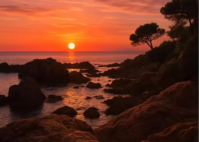 Lalou Piscine Trois A Fréjus